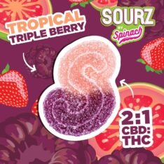 TROPICAL TRIPLE BERRY 2:1 CBD:THC