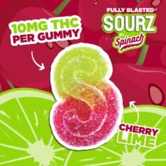 CHERRY LIME SOURZ GUMMIES