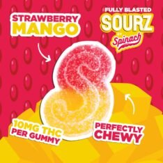 STRAWBERRY MANGO SOURZ GUMMIES