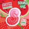 STRAWBERRY WATERMELON CBG SOURZ GUMMIES